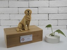 上海金橋寵物診所 互聯(lián)網(wǎng)數(shù)據(jù)服務的創(chuàng)新應用與價值