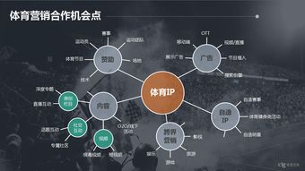 數(shù)據(jù)行業(yè) 互聯(lián)網(wǎng)數(shù)據(jù)中心（IDC）與199it互聯(lián)網(wǎng)數(shù)據(jù)服務(wù)的深度解析